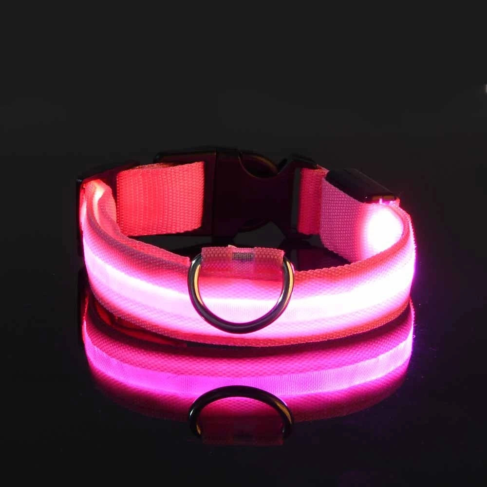 Pupster Glow™ LED Safety Collar
