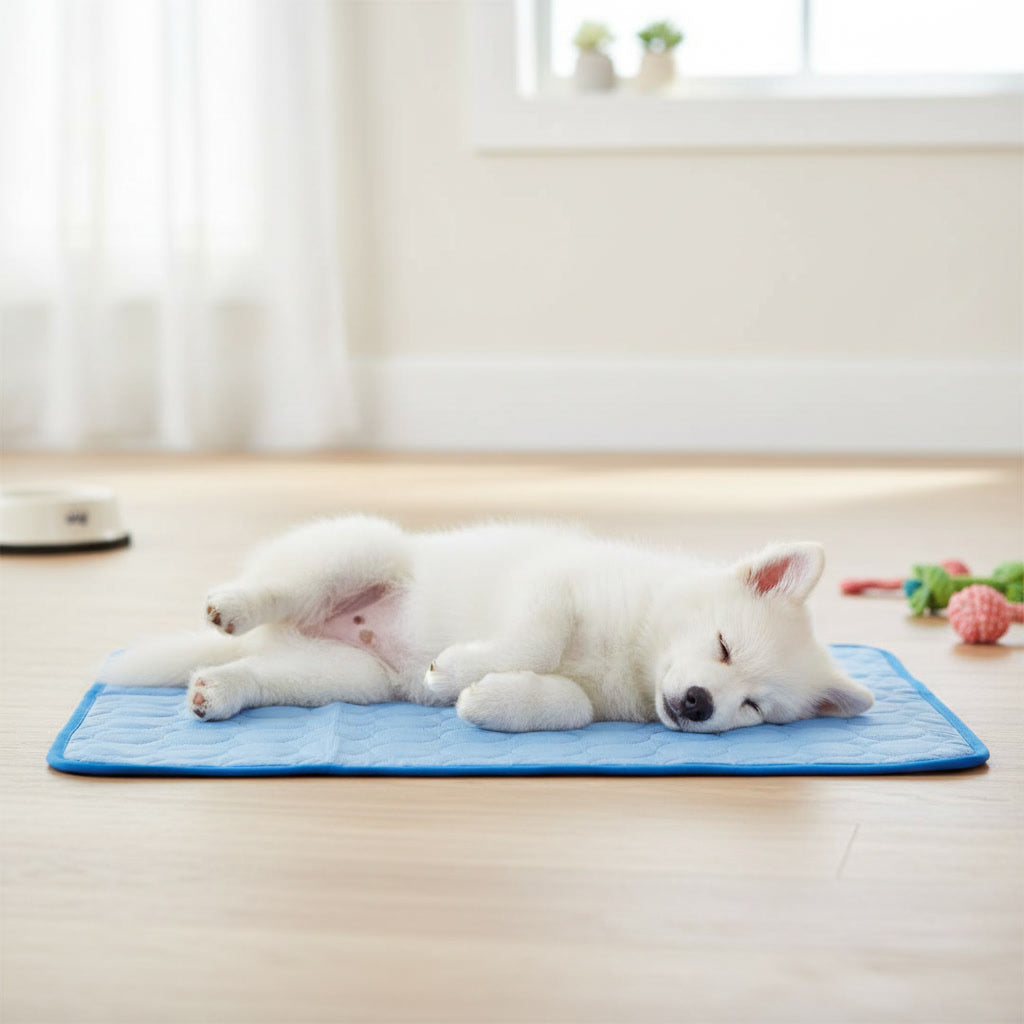 Pupster Chill Mat™ – Self-Cooling Pet Mat & Blanket for Dogs