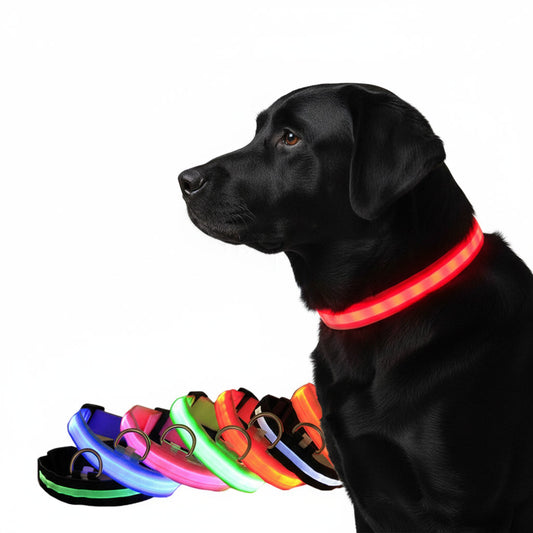 Pupster Glow™ LED Safety Collar