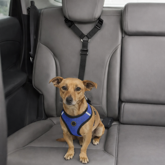 Pupster Secure-Lock™ Car Safety Belt