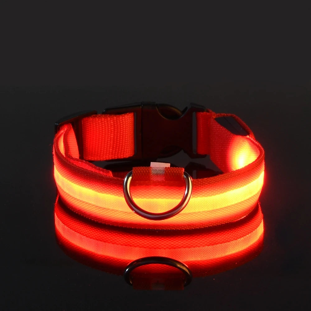 Pupster Glow™ LED Safety Collar
