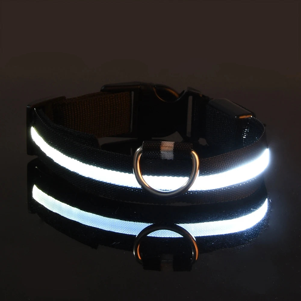 Pupster Glow™ LED Safety Collar