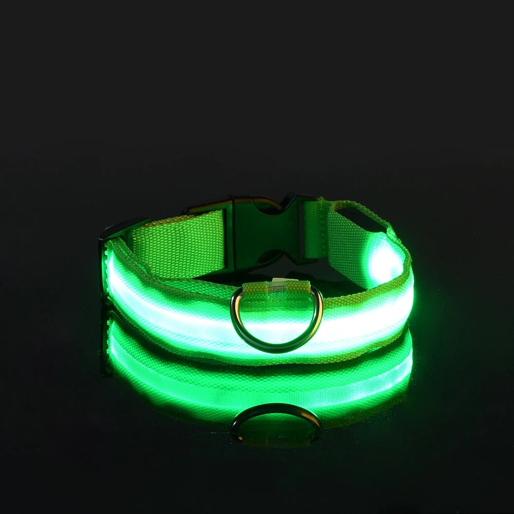 Pupster Glow™ LED Safety Collar