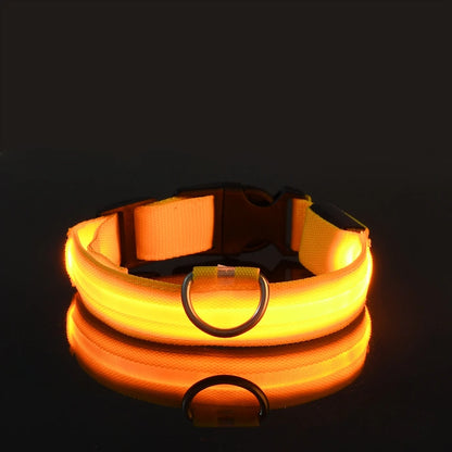 Pupster Glow™ LED Safety Collar