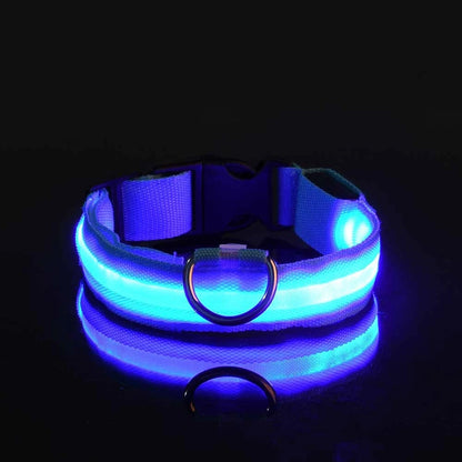 Pupster Glow™ LED Safety Collar
