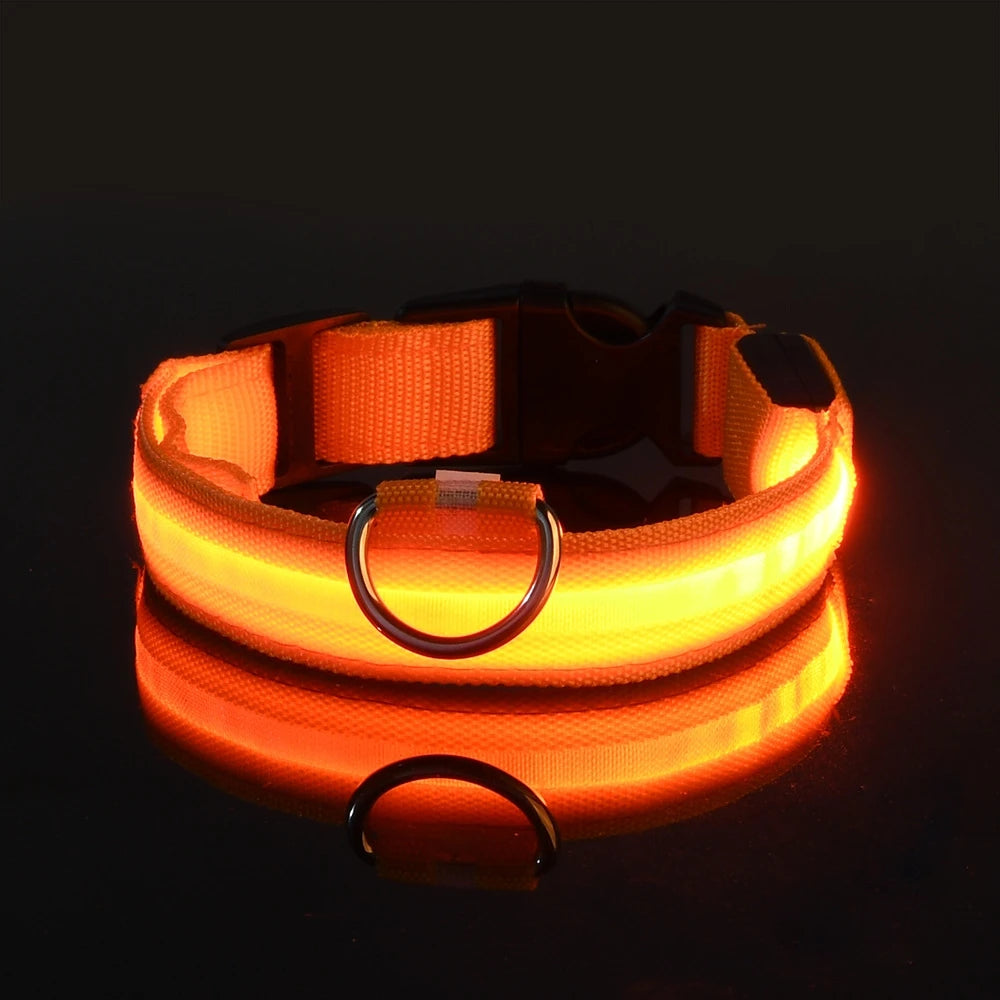Pupster Glow™ LED Safety Collar