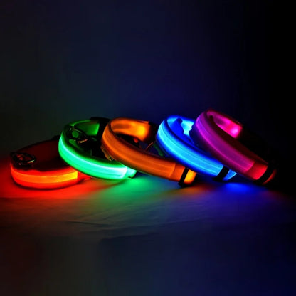 Pupster Glow™ LED Safety Collar