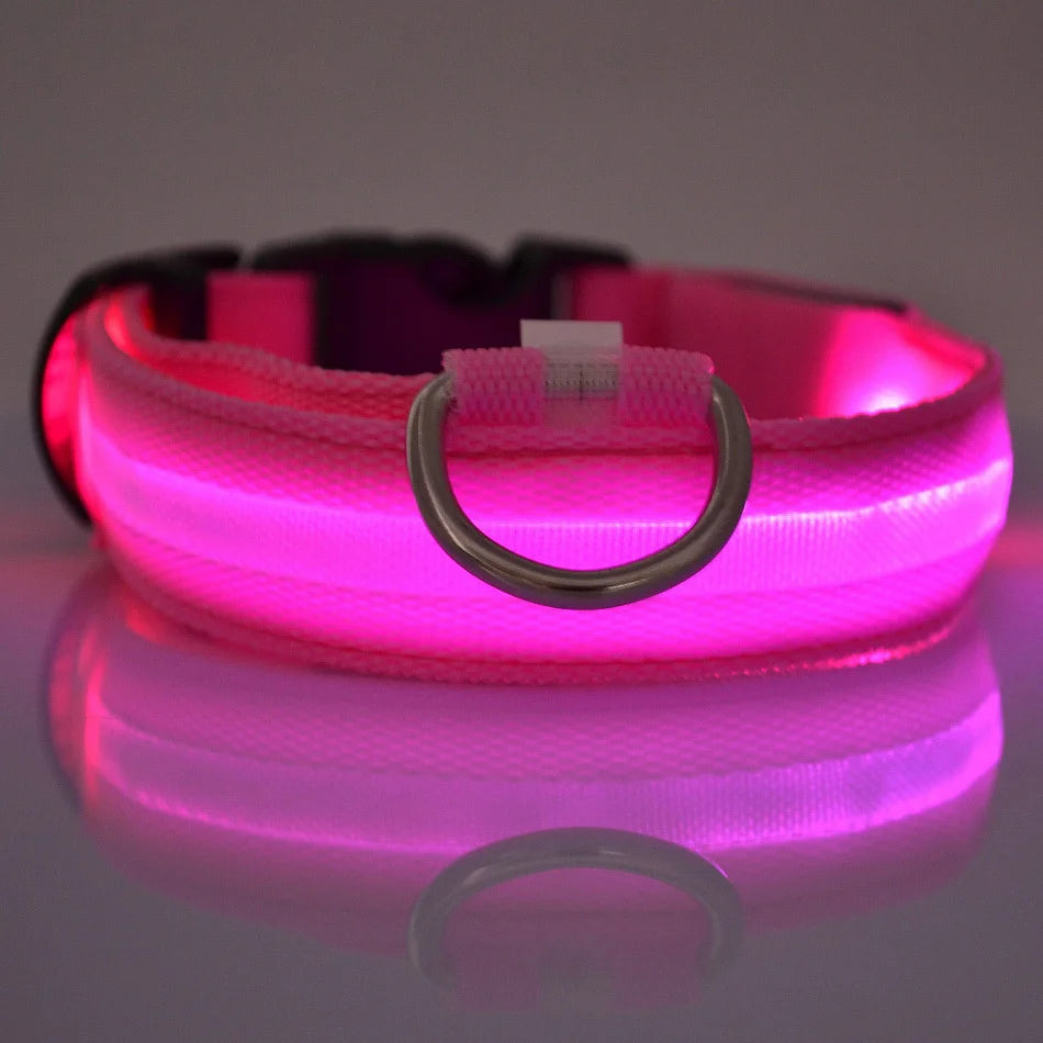 Pupster Glow™ LED Safety Collar