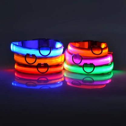 Pupster Glow™ LED Safety Collar