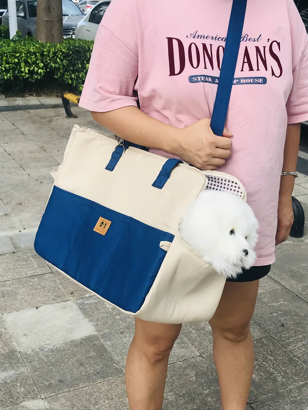 Pupster 3-in-1 Travel Pod™