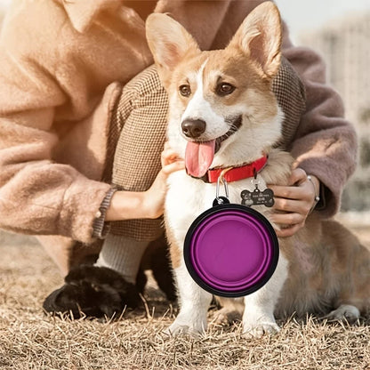 Pupster Fold-A-Bowl™ Collapsible Travel Bowl