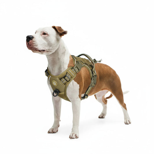 Pupster Commando™ Tactical Dog Harness