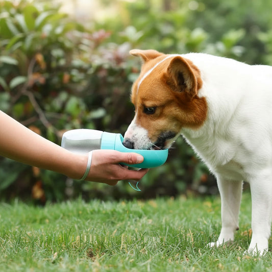 Pupster Aqua-Go™ Portable Dog Water Bottle